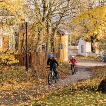 Lapset pyöräilevät syskyisessä maisemassa ylämäkeä.